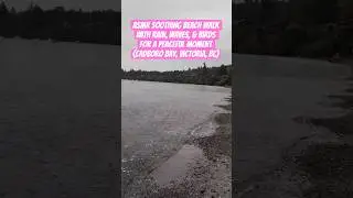 ASMR Soothing Beach Walk with Rain, Waves, & Birds for a Peaceful Moment (Cadboro Bay, Victoria, BC)