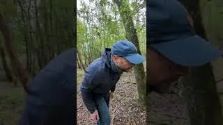Fungi Foray!