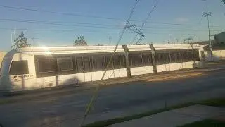 Purple line going to Palm center 
