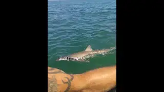 Kayak tope fishing N. Devon