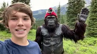 Wildly Funny: Nature&rsquo;s Most Unexpected Influencers | Hilarious Animal Reactions Compilation 2025