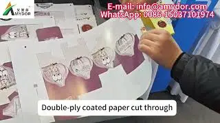 Digital Die Cutter and Creaser