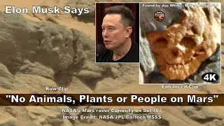 Elon Musk Says 