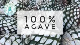 How Important Is Drinking 100% Agave Tequila?