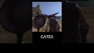 You are&hellip; #catex #funny #gaming #bladeandsorcery #pan #fryingpan