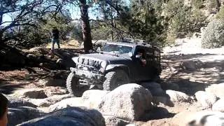 Chinaman Mulch - Crawlorado Jeepers