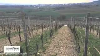 Global Wine Cellars - Where Our Wines are From