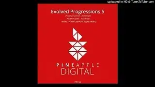 Perrelli & Mankoff present P&M Project - Painkiller (Club Mix)