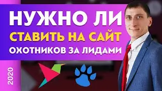 Нужно ли ставить на сайт охотников за лидами? Callbackhunter. Callibri | Александр Федяев