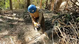 Los Padres Corpsmembers Finding Their Futures with Forestry Corps