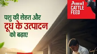 Top Cattle feed Company in Indea #amuldairy #amul #amulcattlefeed