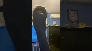 Bart the cat gets in over his head&hellip;again #funny #cat #puppet