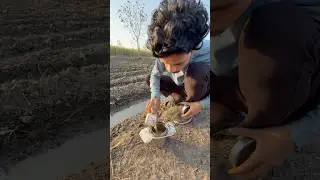 🥹 #khet #kisancomedy #gannabadi #ganna #majdur #chai #chailover #newthought #shortfeed #short #gaon