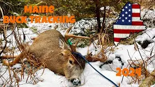 Maine deer hunting! Tracking big buck in snow. Kill!! # Maine giants #rossi #skinnerpeepsights