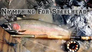 Steelhead Fishing (Western New York Erie Trib)