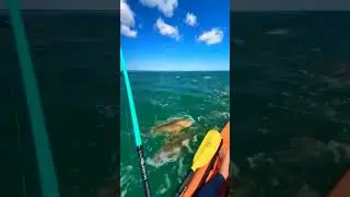 Dream Fishing By Fisherman In River. Catching Big Underground Fish Like Monster #fish_video #shorts