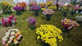 Fiesta Nacional de la Flor Octubre 2025