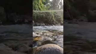 Hahim picnic place😍🍃 beautiful assam
