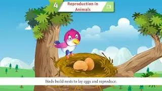 Ch 4 | Book Magic | Junior Scientist | Class 04 |  Reproduction in Animals | For children
