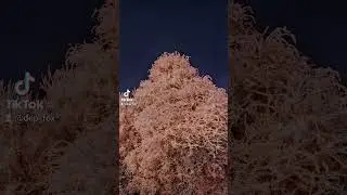 зима иней обработка день-ночь