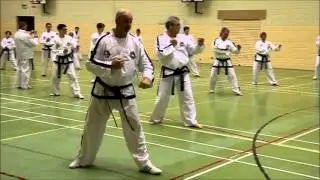 GM Trevor Nicholls TKD Seminar