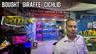 Exploring the T Aqua Aquarium Fish Shop | Underwater Wonders Await in Hindi/Urdu - Imran's World