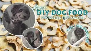 DIY Dog Food: Dehydrated Fruit Snacks