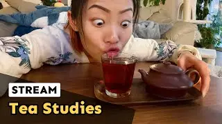 literally just binging tea videos. come yap