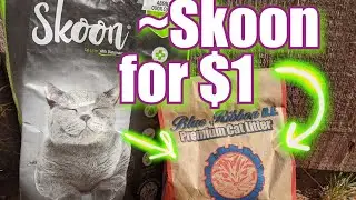 Skoon Cat Litter for ONE DOLLAR = Blue Ribbon D.E. Cat Litter Review