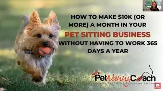 Pet Sitting Master Class 2022 | Pet Sitting Business Tips 2022 | pet care business 2022