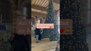 Como es la navidad donde vives? #cubanaenholanda #vlog #amazing