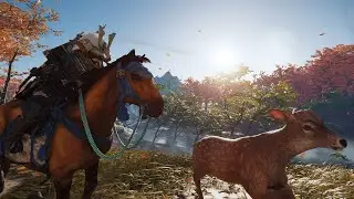 A final request ! | Ghost of tsushima | # 1