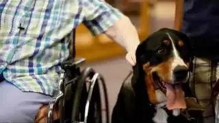 Hallmark Channel - American Humane Association Hero Dog Awards - Premiere Promo