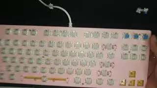 Gigaware K550 Mechanical Keyboard - follow-up video - Switch replacement
