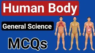 General Science Most repeated MCQs| Human Body Important GK MCQs| ETEA ASF FIA CT PST UPSC etc