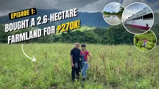 Farmily Ranch 001: Bought a 2.6-Hectare Palawan Farm for ₱270K  | 2GO Experience with Car & Pets