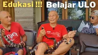EDUKASI !!! Bahaya Cincin Mas, Welang dan Weling