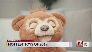Hottest toys of 2019