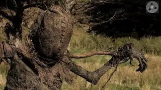 Horror H&ouml;rspiel - Die Vogelscheuche