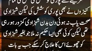 sultan slahudin ayubi aur aqalmand haqeemstories of kids by Storysmart academy by bhassan khan