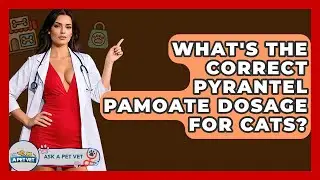What's The Correct Pyrantel Pamoate Dosage For Cats? - Ask A Pet Vet