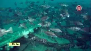 Underwater video of the wreck of the hospital ship Warilda, torpedoed in the English Channel.