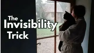 Over 50 | When the World Stops Seeing You (And What We Do Next)