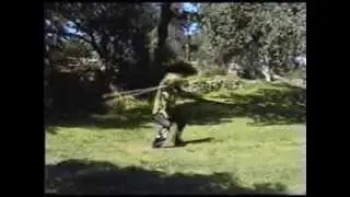 Sifu Jeff Hughes Mantis Demo kung fu austin texas tx