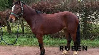 RUBEN