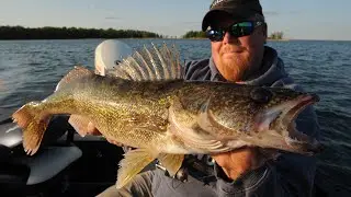 Deadly Effective Bottom Bouncer Tricks and Tips