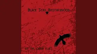 As the Crow Flies