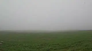 21 Minutes of Rain for Emotional Grounding | Healing ASMR Ambience