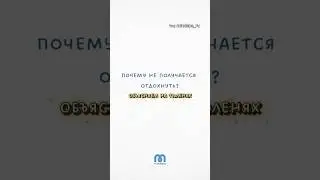 Почему не получается отдохнуть? Объясняем на тюленях