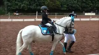 Führzügelklasse Reichelsheim 2016 / Romy Wieprecht